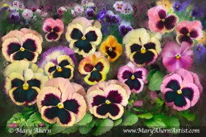 Pansy Field. Mixed Media Painting. Available in 24x26", 20x30" and 16x24" Standard or Gallery Wrapped